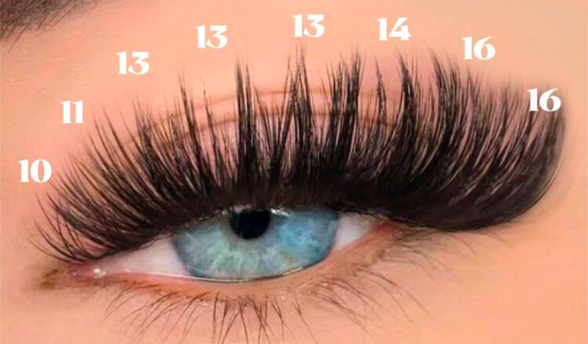 DIY Cluster False Eyelashes E08